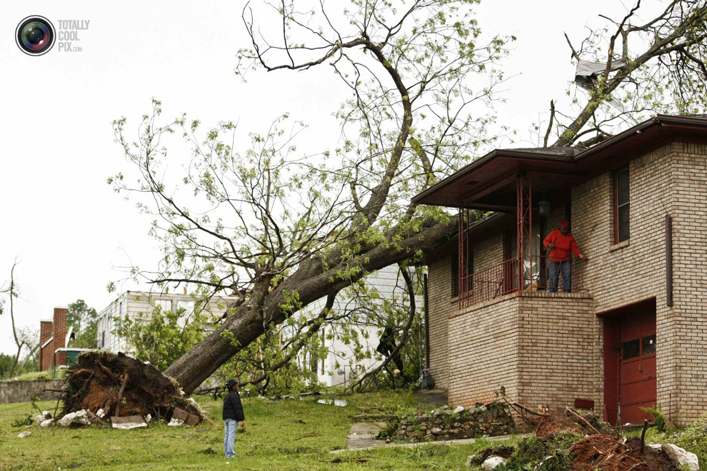 Поваленные деревья и повреждённые дома