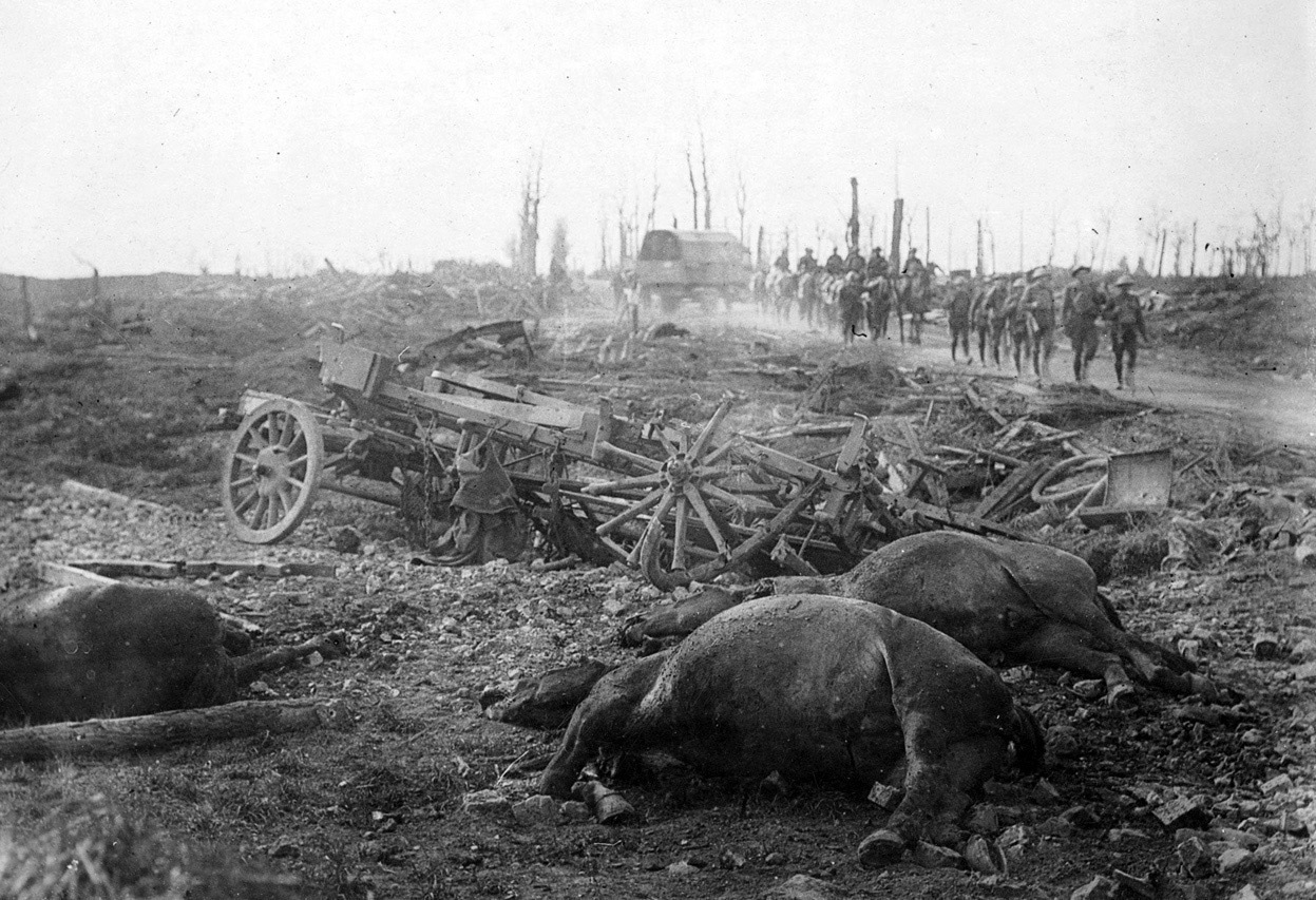 Животные в Первой мировой войне
