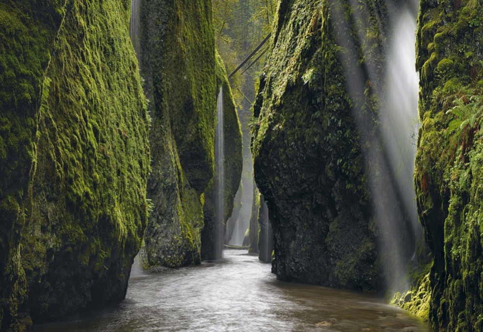 Каньон реки Колумбия, штат Орегон