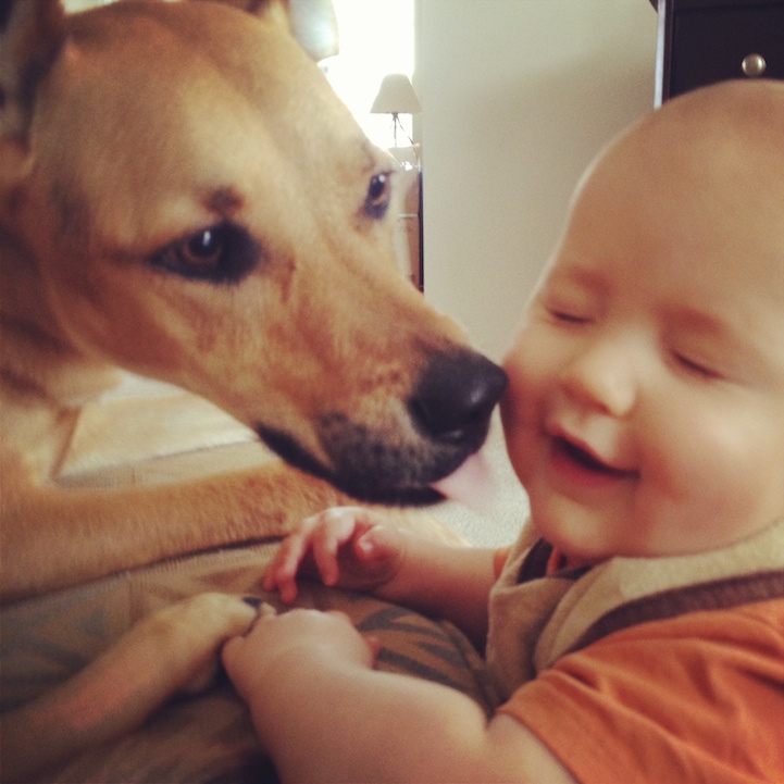 Собака и малыш