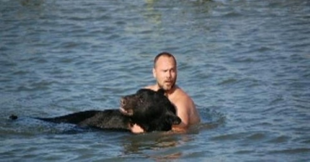 Спасение медведя