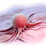 Гормон эстроген защищает рак?