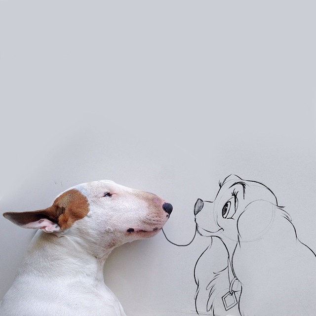 Собака и рисунок