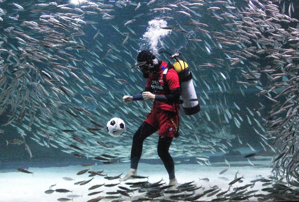 подводный футбол