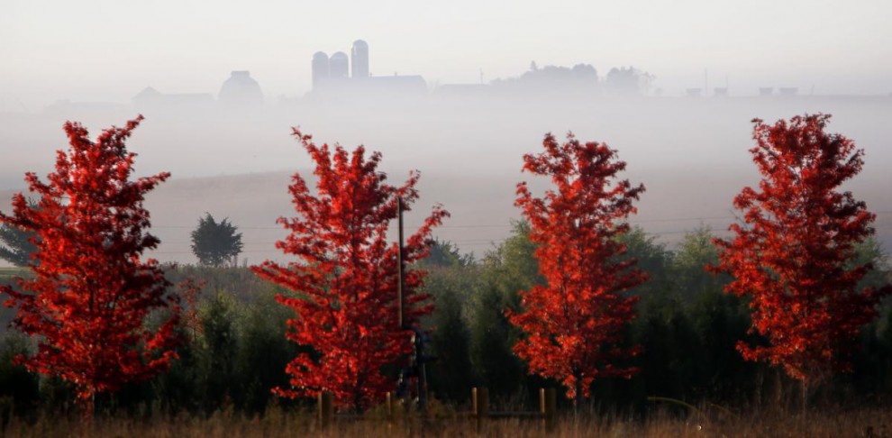 Утренний туман окутывает долину к югу от Пеосты, штат Айова, США, 16 октября. 