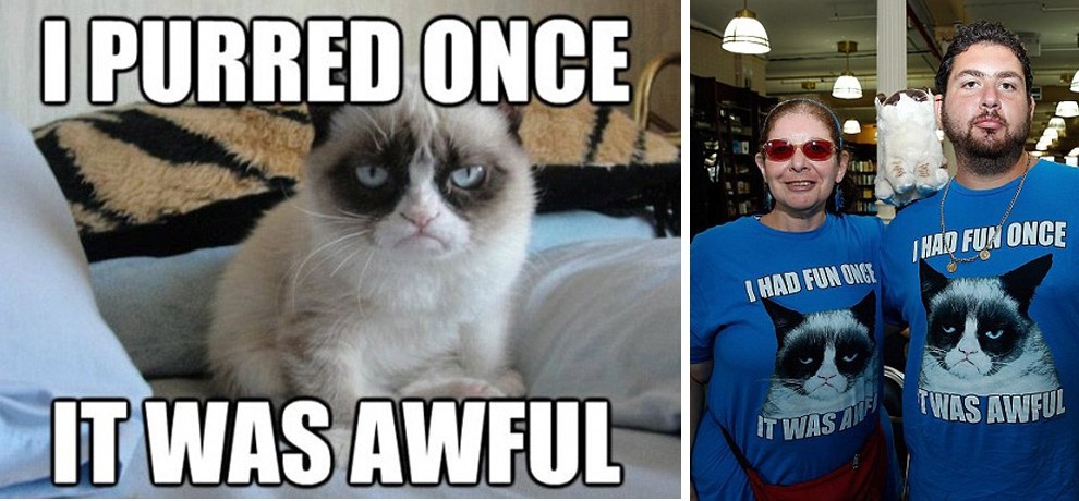 Grumpy Cat