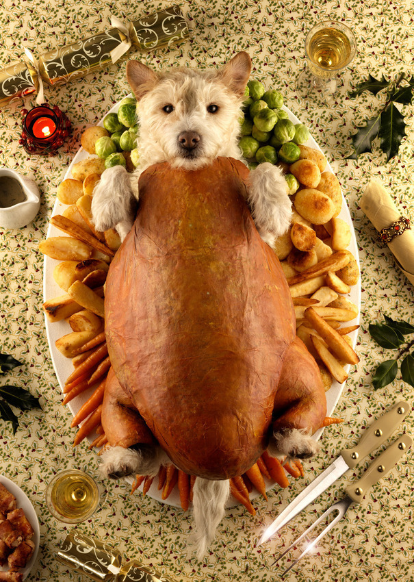 Рождественские открытки с собаками