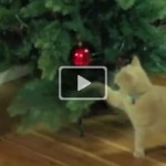 Коты против новогодних ёлок