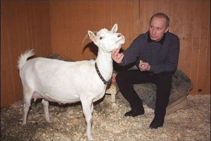 Что дарят Владимиру Путину