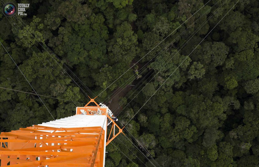 Амазонская обсерватория «Высокая башня»
