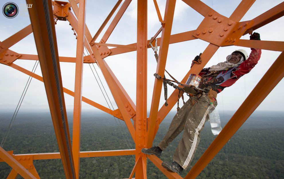 Амазонская обсерватория «Высокая башня»