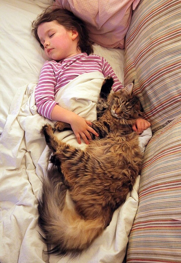 Кошка и девочка