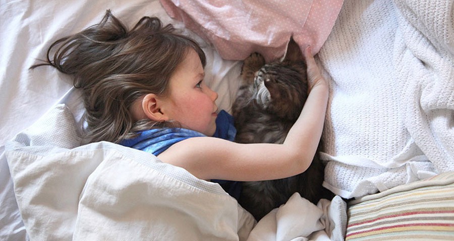 Кошка и девочка