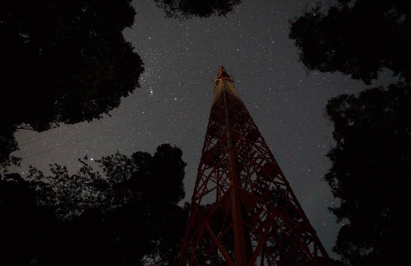 Амазонская гидрометеорологическая обсерватория «Высокая башня»