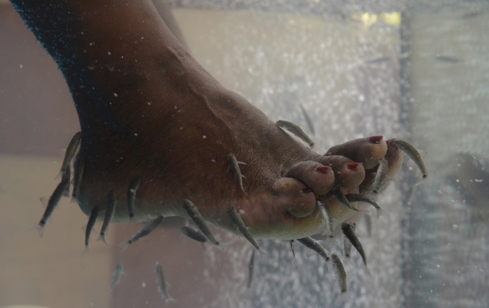 Клиентка спа-салона Euphoria Fish Spa в Найроби, Кения, 4 марта 2015 года. Рыбы вида Garra rufa питаются омертвевшими частичками человеческой кожи, поэтому часто используются для очистительных процедур в салонах красоты.