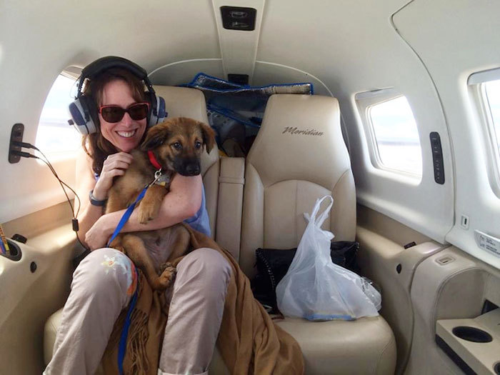 Пилоты спасают животных