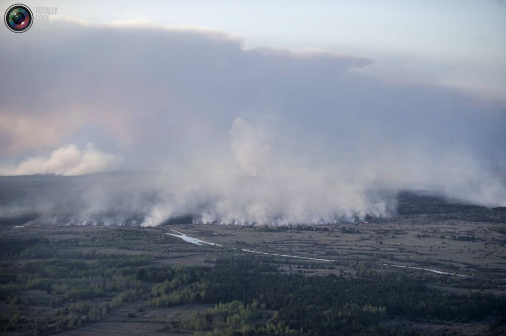 Лесной пожар в Чернобыльской зоне. 