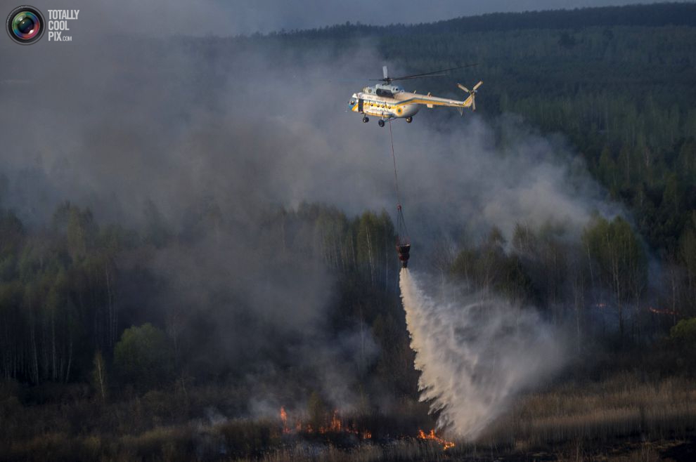 Лесной пожар в Чернобыльской зоне.