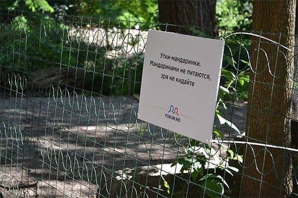 Зоопарк предупреждает 