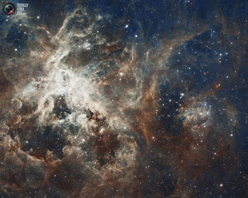 Остаток сверхновой звезды NGC 2060 
