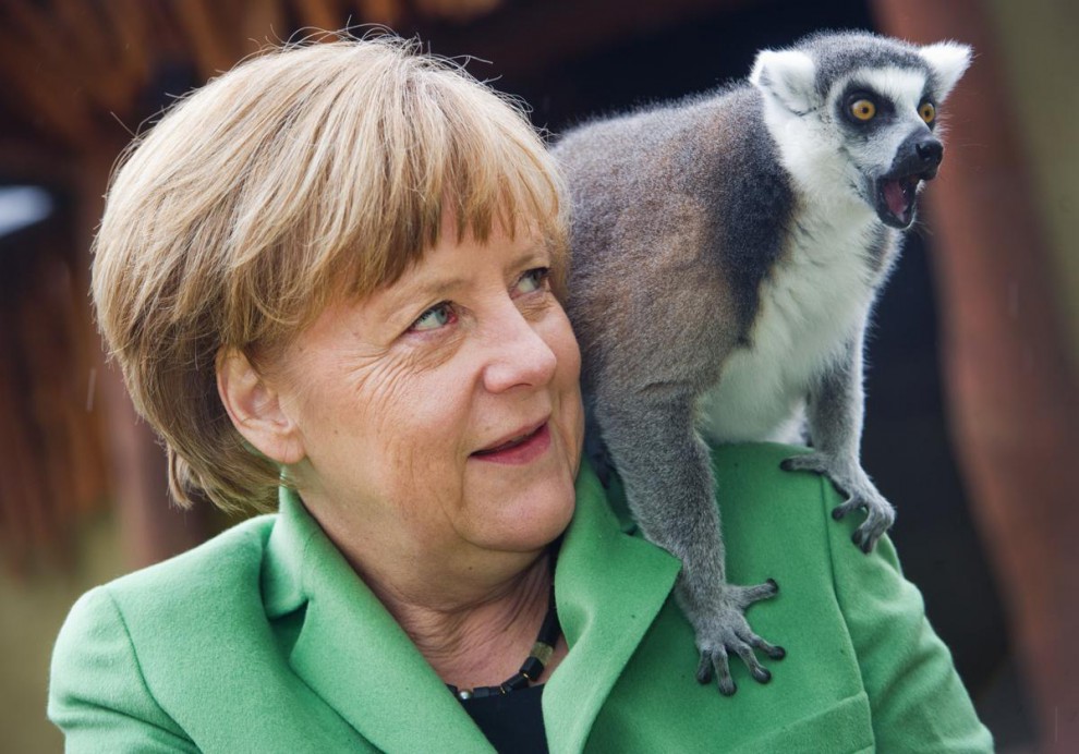 Ангела Меркель с лемуром 