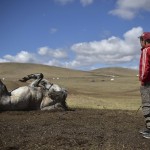 Один день из жизни монгольского подростка-жокея