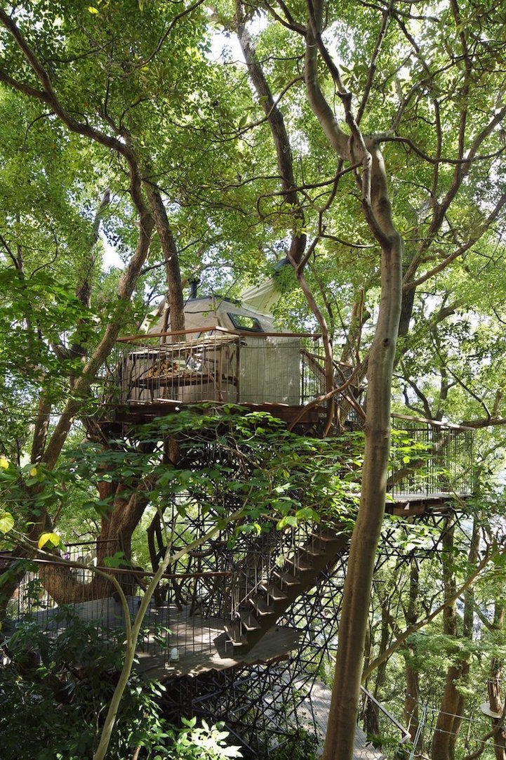 Очень уютный дом на кроне 300-летнего дерева