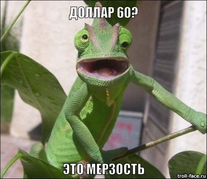 Реакция пользователей Интернета на падение рубля