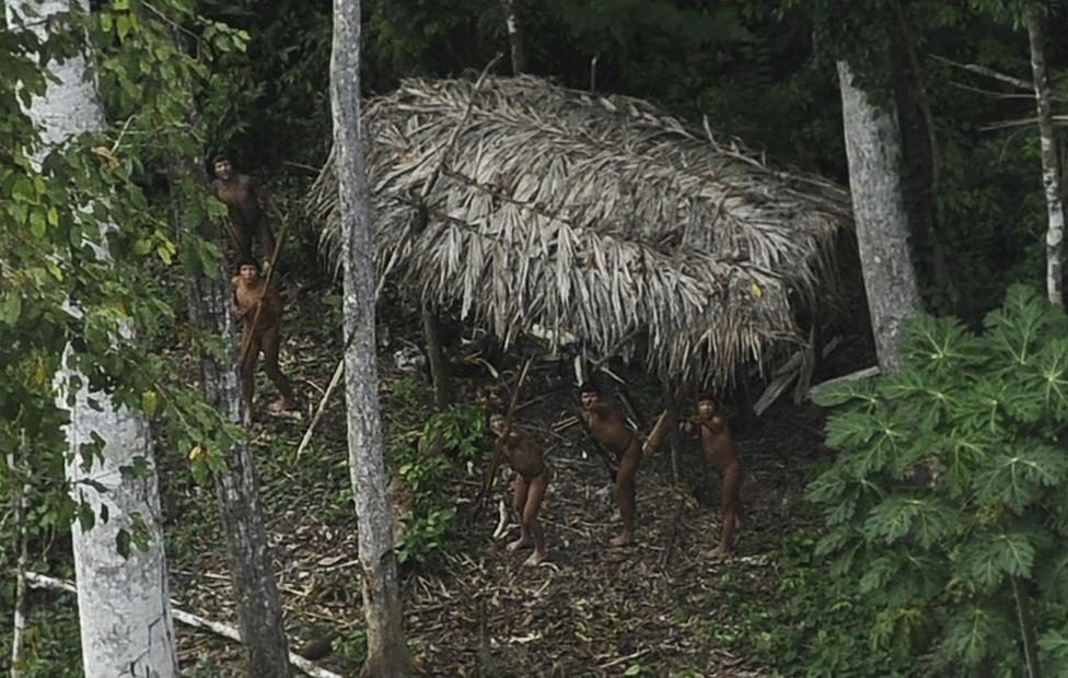 Неконтактные индейцы Амазонии