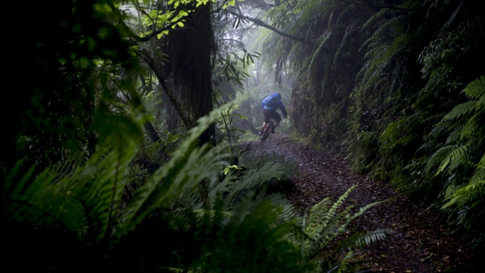 Горный велосипед в Новой Зеландии