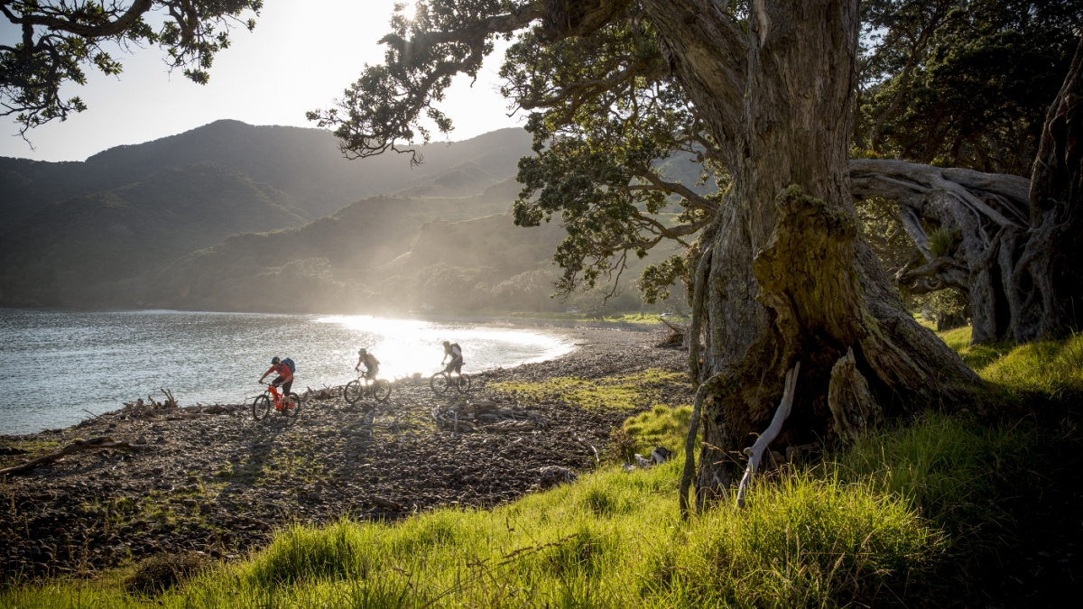 Горный велосипед в Новой Зеландии