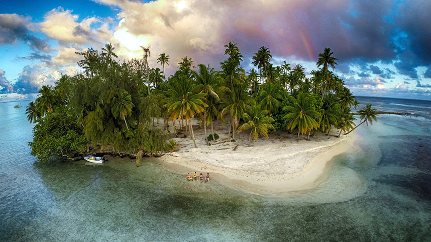 Остров с пальмами