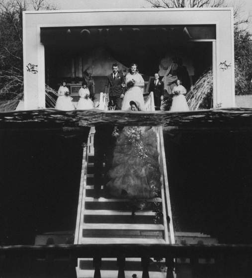 Архивные фото: свадьба под водой 