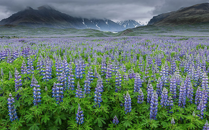 Что может быть прекраснее Исландии? 