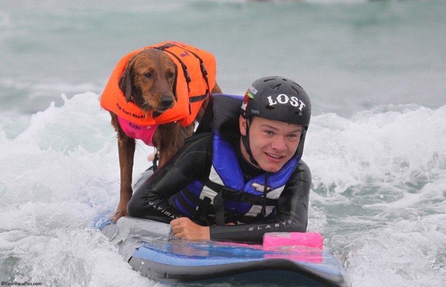 Пес помогает больным людям заниматься серфингом 
