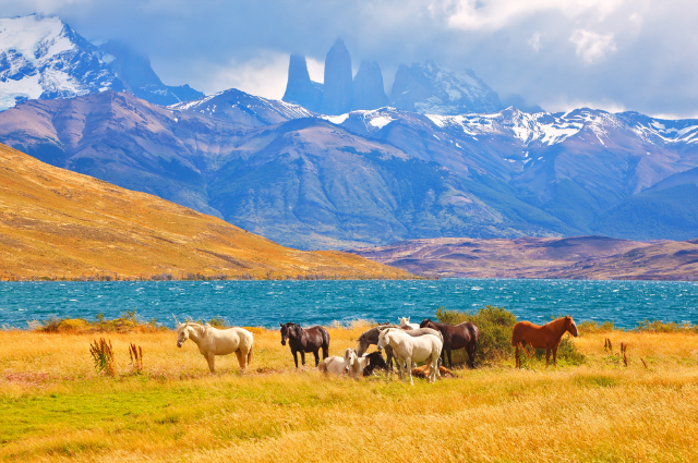 Национальный парк Торрес-дель-Пайне в Чили
