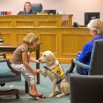 Собаки для судебных заседаний
