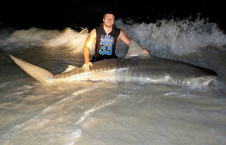 Австралиец ловит акул голыми руками 