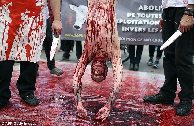 Кровавый протест против убийств животных