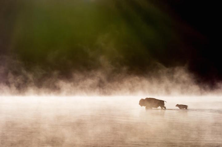 Лучшие фотографии чарующей природы на конкурсе 2015 It's Amazing Out There Photo Contest 