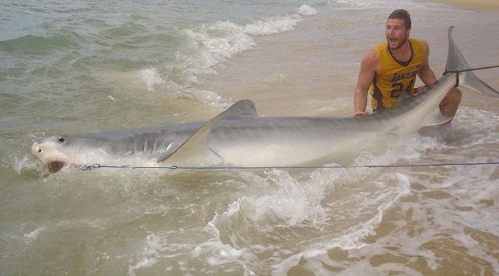 Австралиец ловит акул голыми руками 