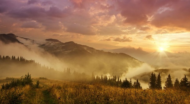 Википедия выбрала лучшие фото природы Украины