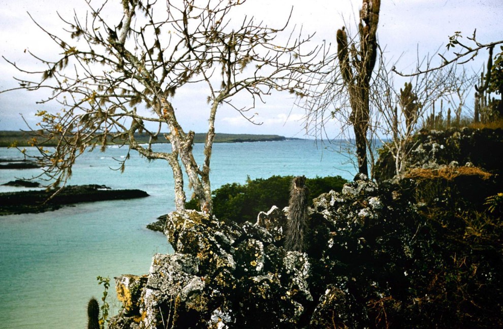 Галапагосские острова, 1957 год.