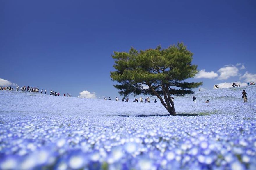 13 безупречно красивых мест голубой планеты 