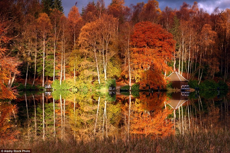 Золотые краски осени в пейзажах Великобритании 