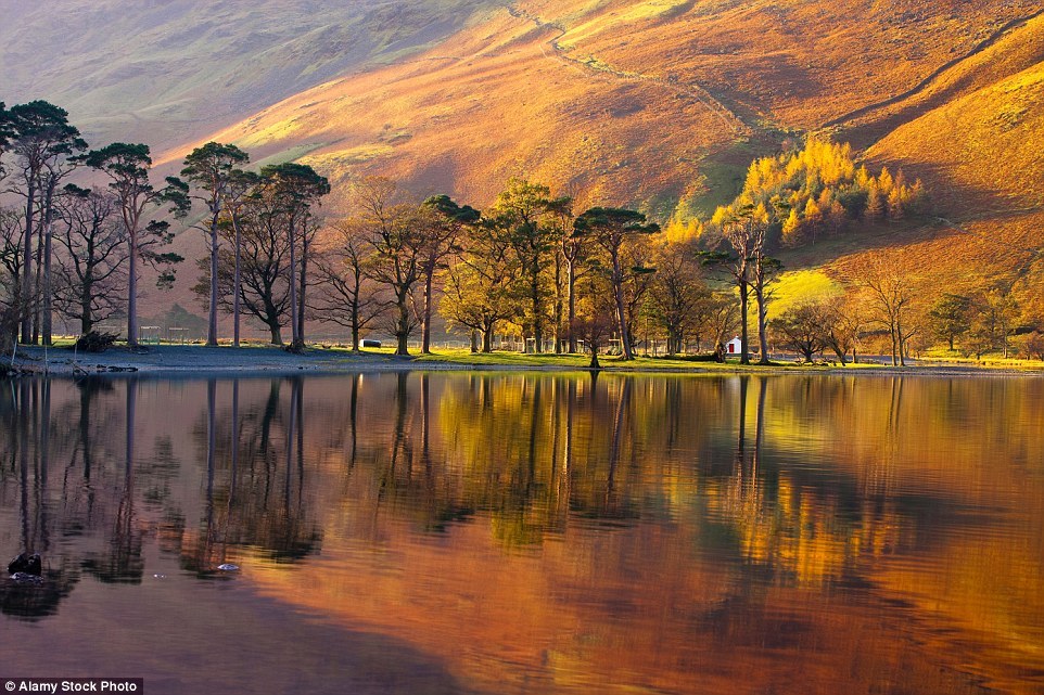 Золотые краски осени в пейзажах Великобритании