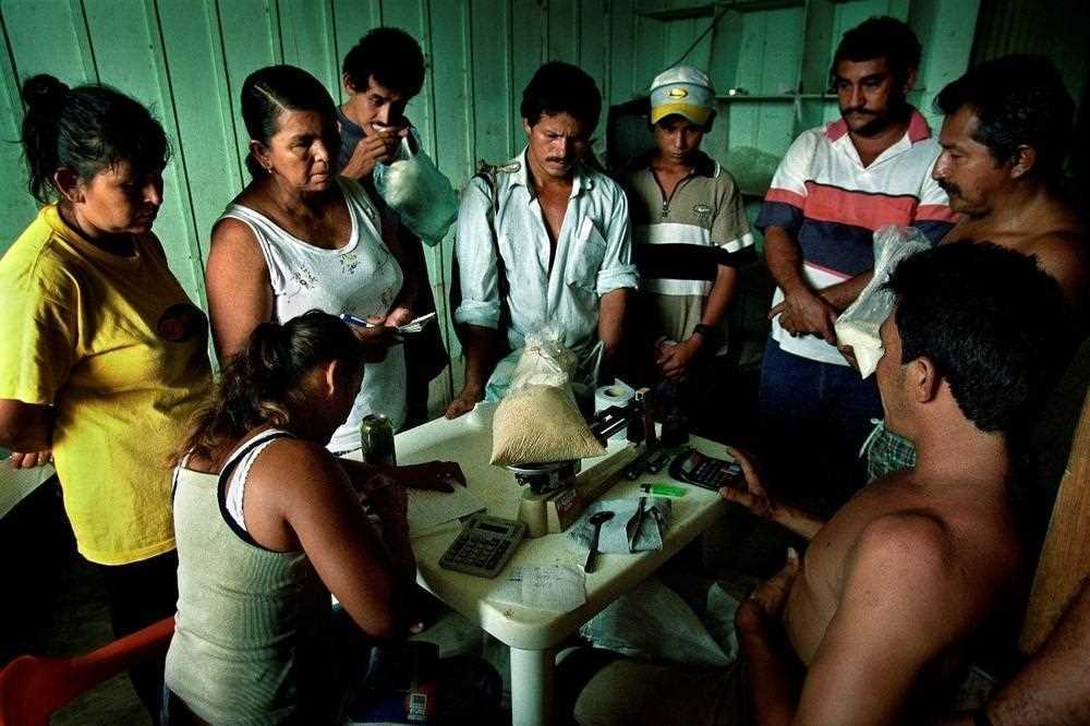 От полей до ноздрей: путешествие кокаина в фотографиях