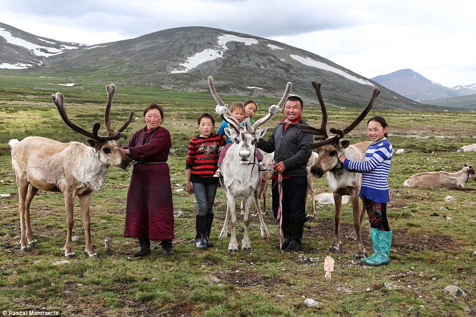 Монгольские оленеводы цаатаны