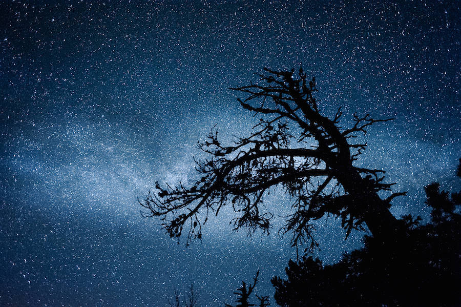 Звездное небо в серии пейзажных фотографий