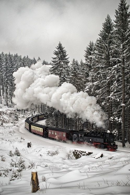 17 фотографий, которые доказывают, что зима - прекрасное время года